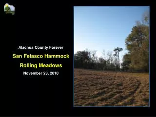 Alachua County Forever San Felasco Hammock Rolling Meadows November 23, 2010