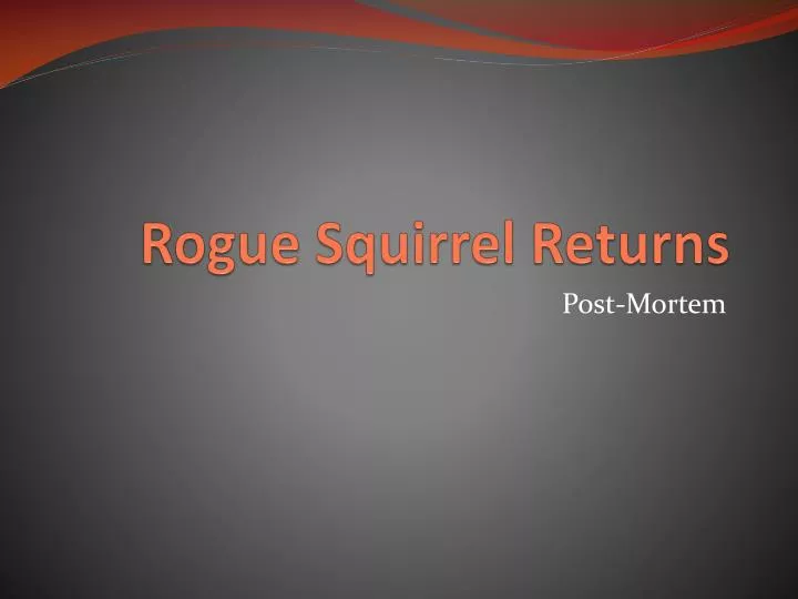 rogue squirrel returns