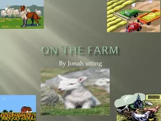 on the farm