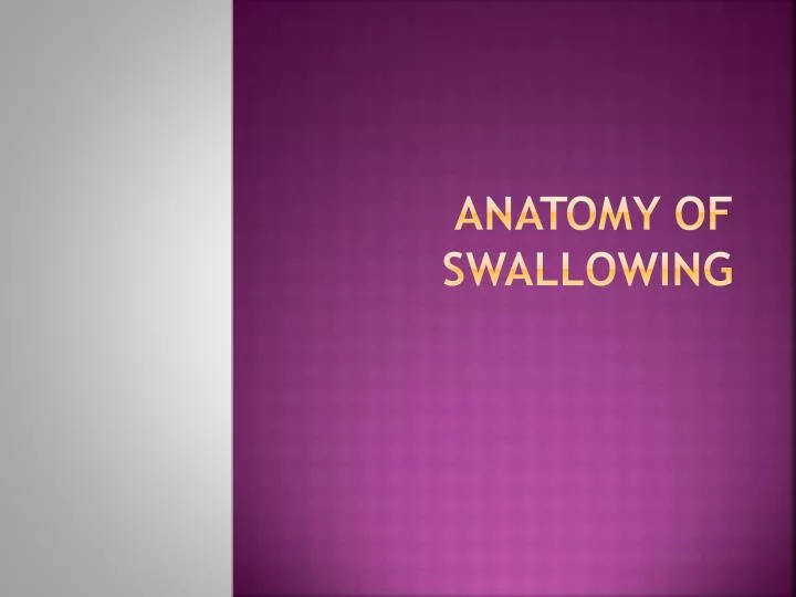 anatomy of swallowing