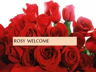 ROSY WELCOME