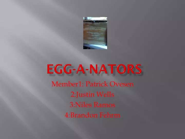 egg a nators