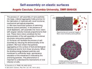 Self-assembly on elastic surfaces Angelo Cacciuto , Columbia University, DMR 0846426