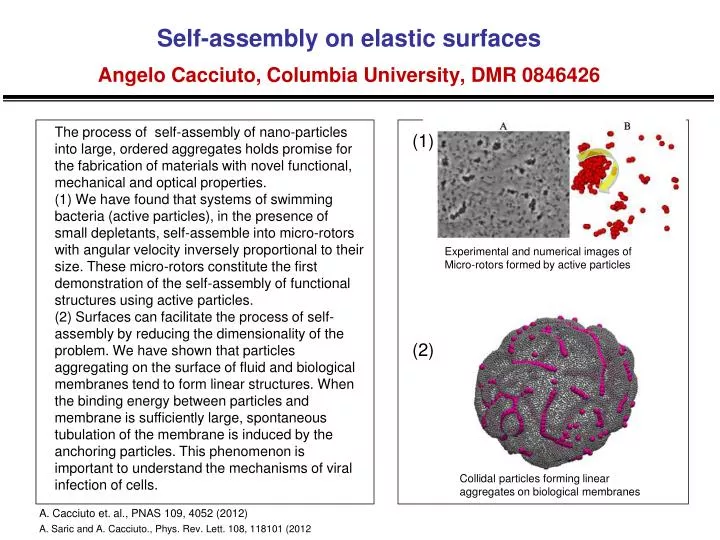 self assembly on elastic surfaces angelo cacciuto columbia university dmr 0846426