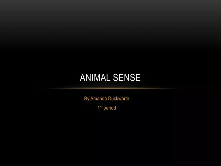 animal sense