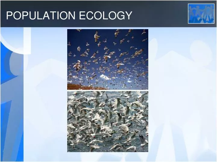 population ecology