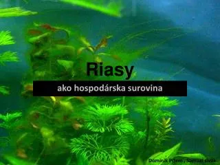riasy