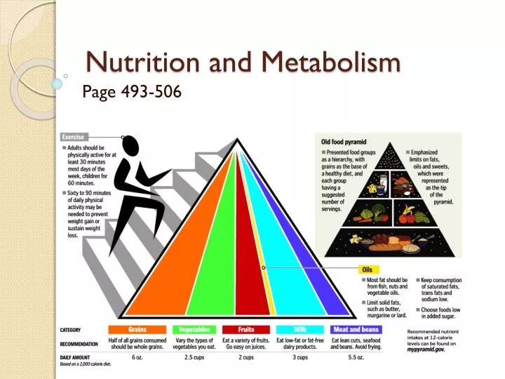 nutrition and metabolism