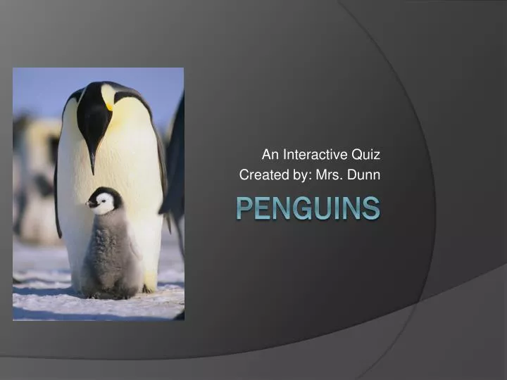 an interactive quiz created by mrs dunn