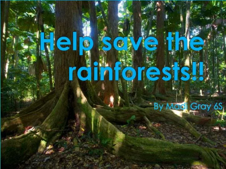 help save the rainforests