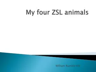 My four ZSL animals