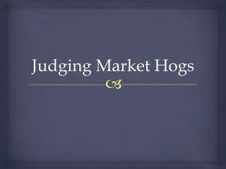 Judging Market Hogs