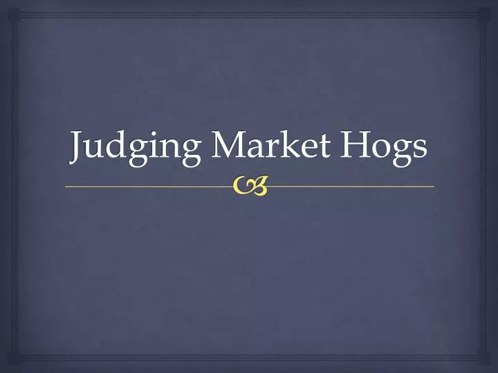 judging market hogs