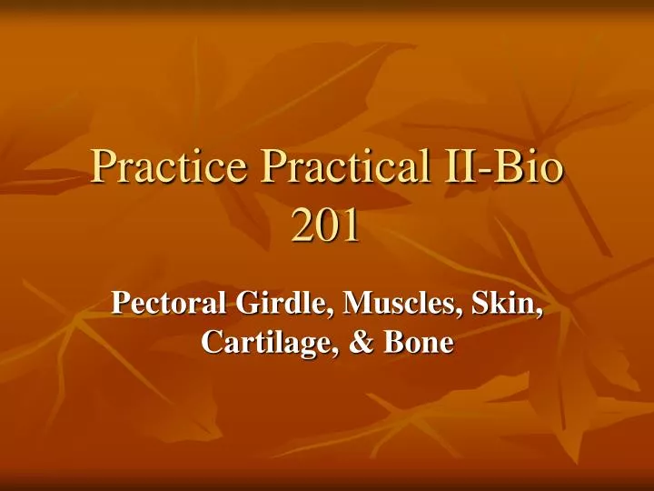 practice practical ii bio 201