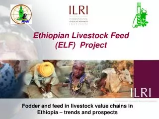 Ethiopian Livestock Feed (ELF) Project