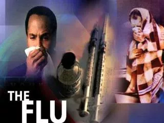 Influenza in Humans 2009
