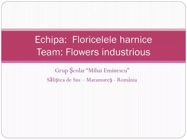 echipa floricelel e harnice team f lowers industrious