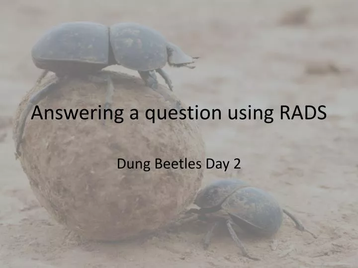 answering a question using rads