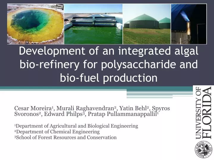 development of an integrated algal bio refinery for polysaccharide and bio fuel production