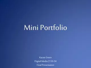 Mini Portfolio