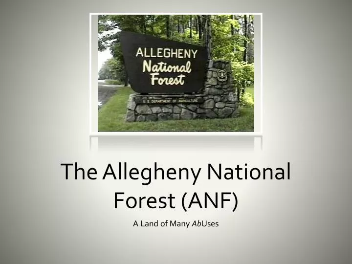 the allegheny national forest anf