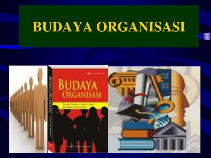 budaya organisasi