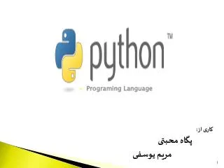 Programing Language