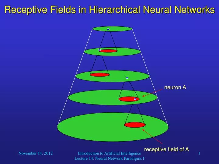 receptive fields in hierarchical neural networks
