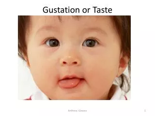 Gustation or Taste