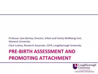 Pre-birth assessment and promoting attachment