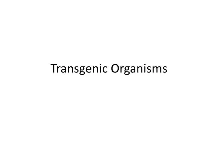 transgenic organisms