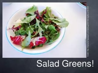 Salad Greens!