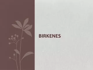 Birkenes