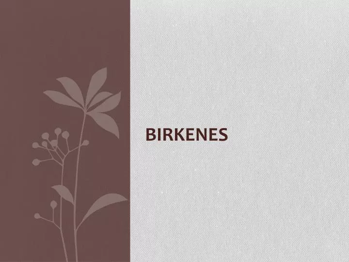 birkenes