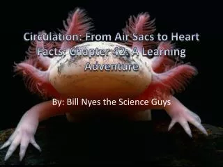 Circulation: From Air S acs to Heart Facts: Chapter 42: A Learning Adventure