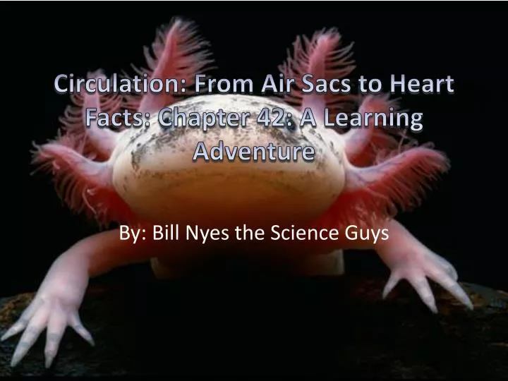 circulation from air s acs to heart facts chapter 42 a learning adventure