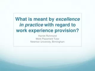 What is meant by excellence in practice with regard to work experience provision?