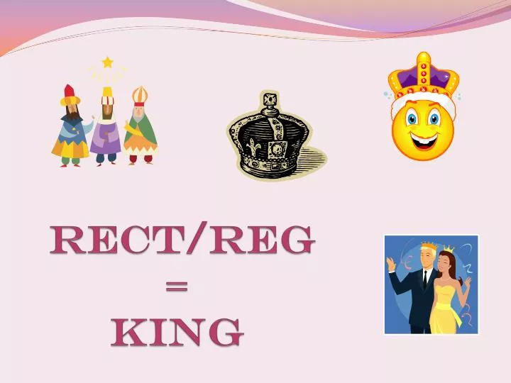 rect reg king