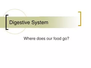 Digestive System