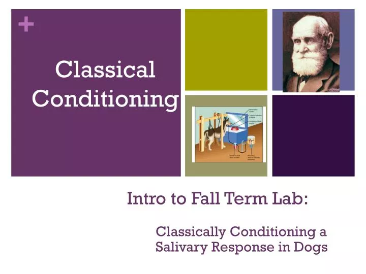 intro to fall term lab
