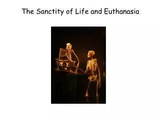 The Sanctity of Life and Euthanasia