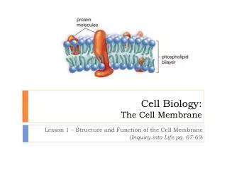 Cell Biology: The Cell Membrane