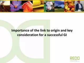 Importance of the link to origin and key consideration for a successful GI