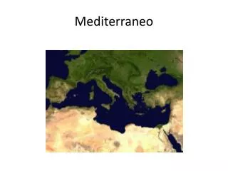 mediterraneo