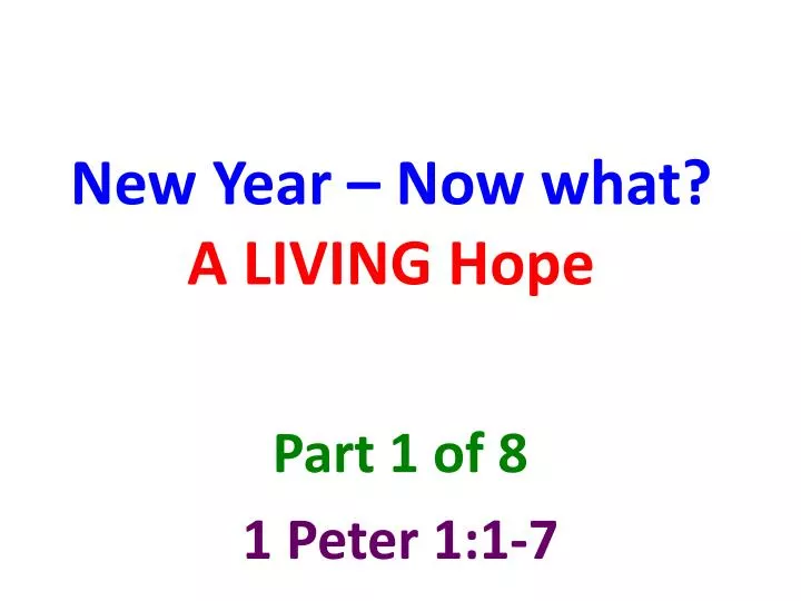 new year now what a living hope