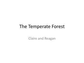the temperate forest