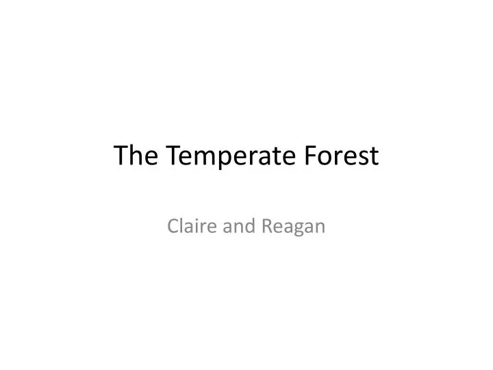 the temperate forest