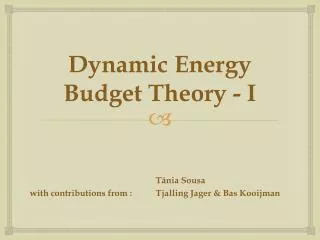 Dynamic Energy Budget Theory - I