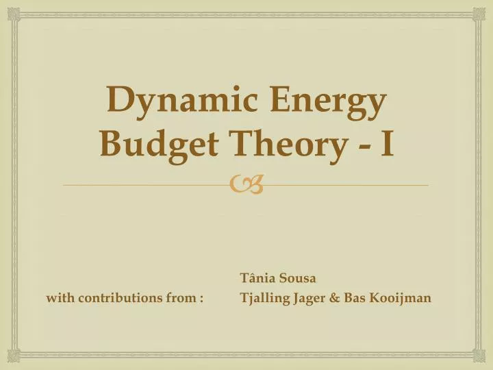 dynamic energy budget theory i