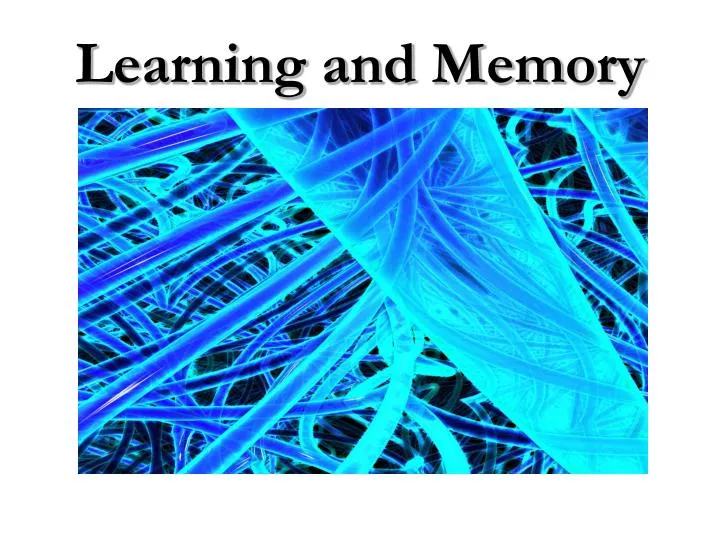 learning and memory